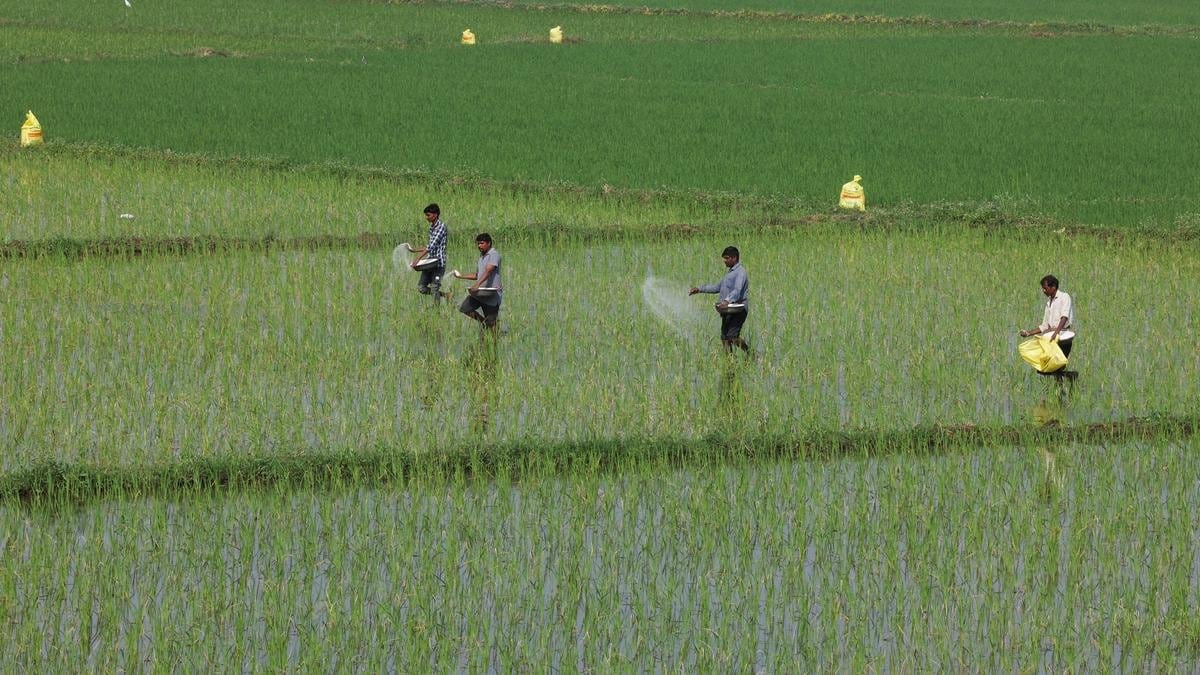 Centre announces  ₹24,420 crore subsidy for summer crop fertilizers