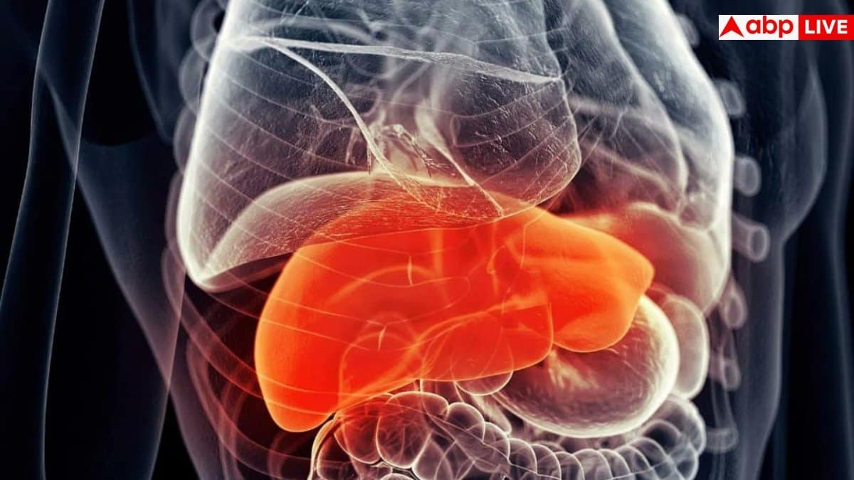 Early Signs of Liver disease: बिस्तर पर जाते ही दिखते हैं लिवर में सूजन के ये 5 लक्षण, 99% लोग इग्नोर करके मौत को लगा लेते हैं गले Early Signs of Liver disease: बिस्तर पर जाते ही दिखते हैं लिवर में सूजन के ये 5 लक्षण, 99% लोग इग्नोर करके मौत को लगा लेते हैं गले