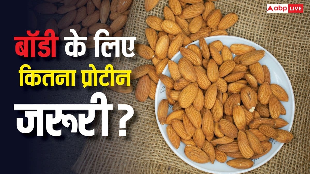 High Protein Diet Risks: कितना प्रोटीन इनटेक हो जाता है बॉडी में हद से ज्यादा प्रोटीन, इससे सेहत को कितनी हो सकती है दिक्कत? High Protein Diet Risks: कितना प्रोटीन इनटेक हो जाता है बॉडी में हद से ज्यादा प्रोटीन, इससे सेहत को कितनी हो सकती है दिक्कत?