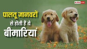 घर में रखते हैं पालतू जानवर? फैल सकती हैं इतनी खतरनाक बीमारियां घर में रखते हैं पालतू जानवर? फैल सकती हैं इतनी खतरनाक बीमारियां