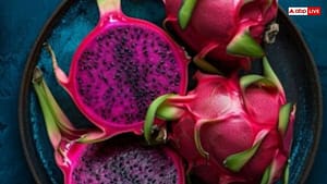 Dragon Fruit Benefits: किस विटामिन से भरपूर होता है ड्रैगन फ्रूट? जानें, किन-किन बीमारियों से रखता है दूर Dragon Fruit Benefits: किस विटामिन से भरपूर होता है ड्रैगन फ्रूट? जानें, किन-किन बीमारियों से रखता है दूर