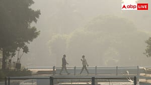 दिल्ली में बढ़ रहा एयर पॉल्यूशन, सुबह की सैर करें या नहीं? एक्सपर्ट से जानें दिल्ली में बढ़ रहा एयर पॉल्यूशन, सुबह की सैर करें या नहीं? एक्सपर्ट से जानें