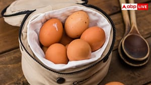 क्या हो अगर एक बार में खा लिए जाएं 50 अंडे? सच्चाई जान कांप उठेगी रूह क्या हो अगर एक बार में खा लिए जाएं 50 अंडे? सच्चाई जान कांप उठेगी रूह