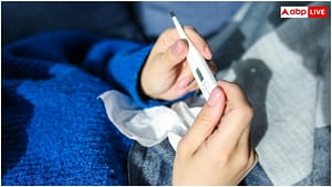 48 घंटे से बना हुआ है बुखार तो न करें नजरअंदाज, दिल्ली में तेजी से फैल रहा यह वायरस 48 घंटे से बना हुआ है बुखार तो न करें नजरअंदाज, दिल्ली में तेजी से फैल रहा यह वायरस